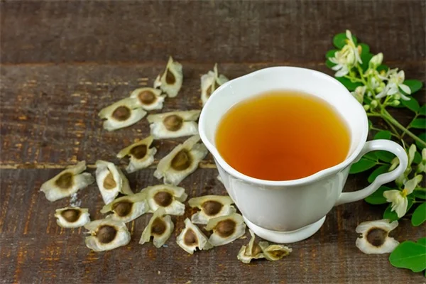 冬の庭が赤く染まる!Yuletide山茶花の育て方と魅力